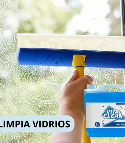 lavalozas vital clean 5 litros